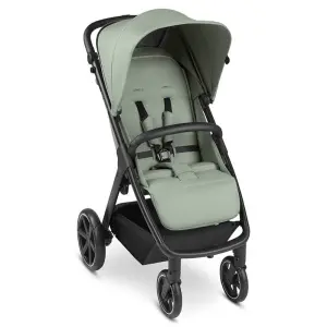 Количка Avus pine Classic 2024