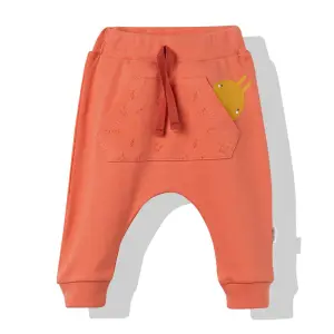 T2930 Панталонки CHUBBY COLORS Корал 68cm