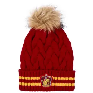 2200009653 Шапка Harry Potter Gryffindor