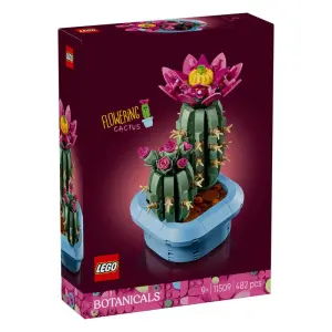 11509 Цъфтящ кактус