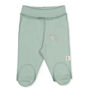 T3831 Ританки farm Мента 1-3м/62см