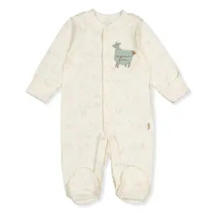 T3870 Гащеризон farm Мента 1-3м/62см