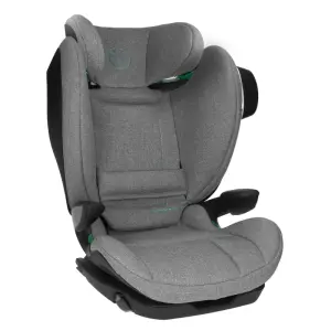Avionaut MaxSpace Smart столче за кола Grey