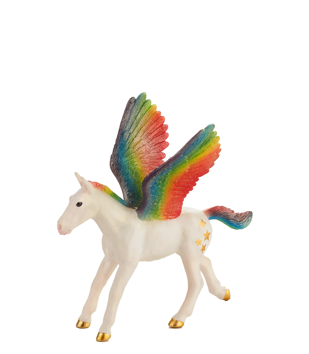Жребче Пегас Rainbow