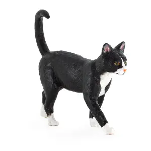Котка, черно и бяло