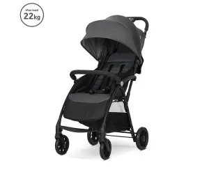 Lorelli Лятна количка Fresh до 22 кг grey icy