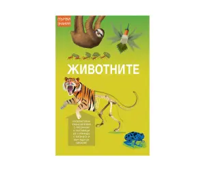 Фют - Познайте цветовете!