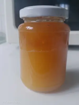 Пчелен мед домашен