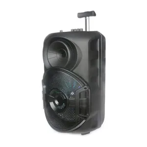 Мощна 12" тонколонка ZQS12110