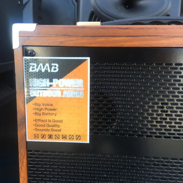 Парти караоке колонка 12” BMB OUTDOOR AUDIO — снимка 2