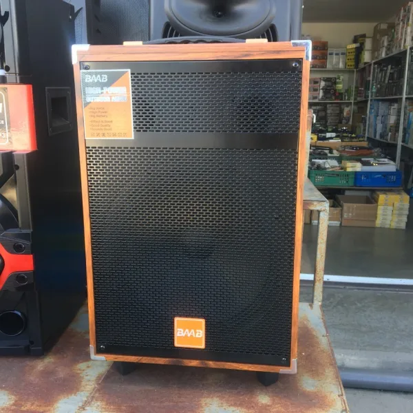 Парти караоке колонка 12” BMB OUTDOOR AUDIO — снимка 5